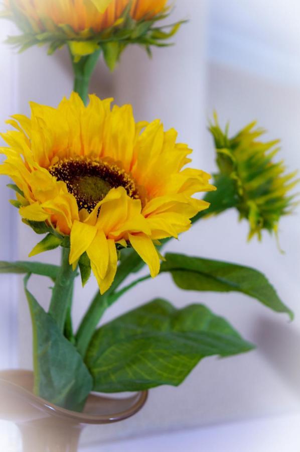 B&B Overnachting De Margriet 하르덴베르크 외부 사진